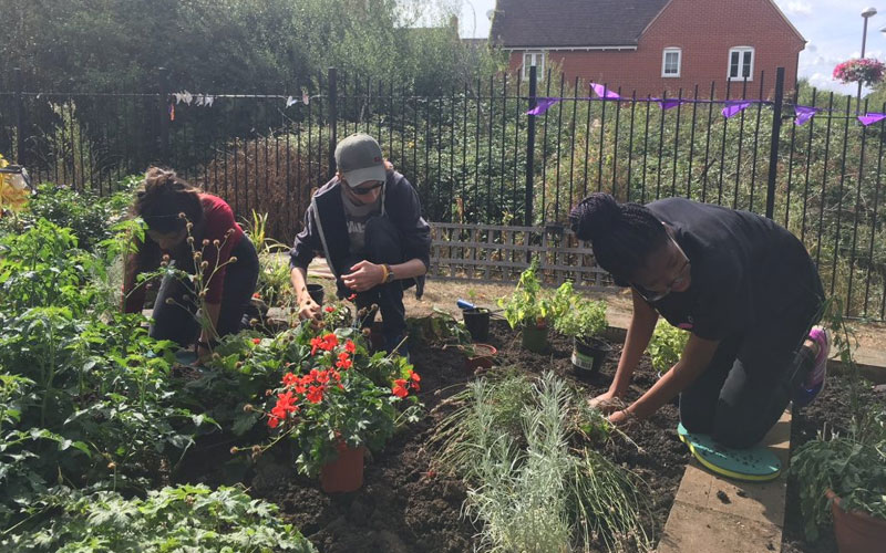 the duke of edinburgh's award volunteering featured