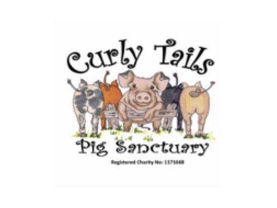 ccurly tails pig sanctuary