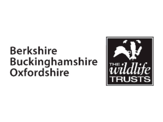 the wildlife trust