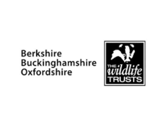 the wildlife trust