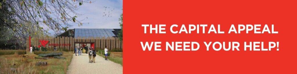 The Capital Appeal - we need your help